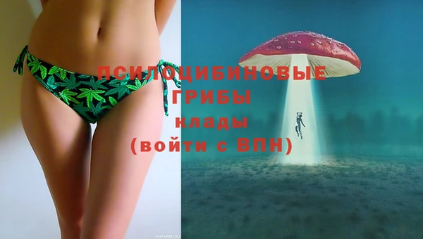 mix Богородицк