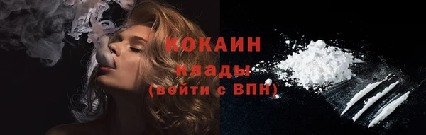 mix Богородицк