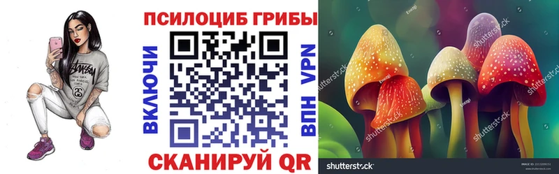 Псилоцибиновые грибы Psilocybe  Кирс 